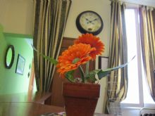 Foto 1 di Bed and Breakfast - Evergreen
