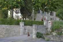 Foto 1 di Bed and Breakfast - Villa La Ginestra